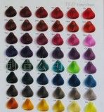 染發(fā)色卡 頭發(fā)色卡 毛板染色色卡 Hair Color Chart